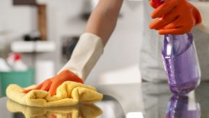 Professional-House-cleaning-services